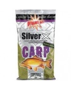 Silver X Carp