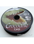 Crocodile Carp