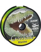 Crocodile Marine