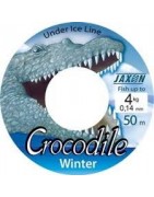 Crocodile Winter 50m
