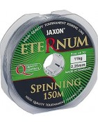 Eternum Spinning