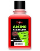 Amino Attractor